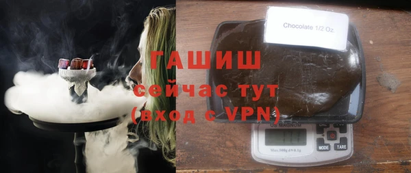 шишки Медвежьегорск