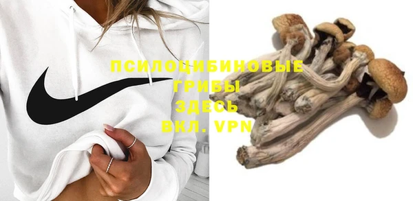 стафф Мегион