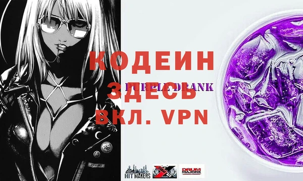 шишки Медвежьегорск