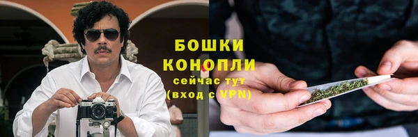 твердый Медногорск