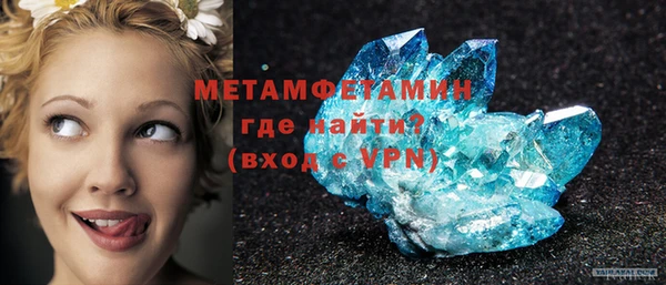 шишки Медвежьегорск