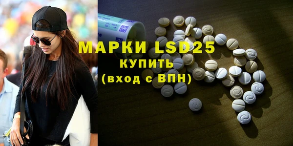 шишки Медвежьегорск