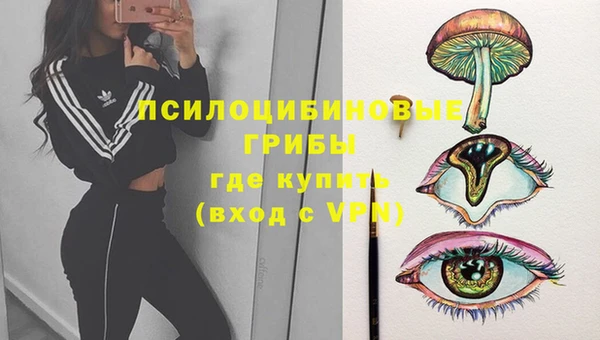 твердый Медногорск
