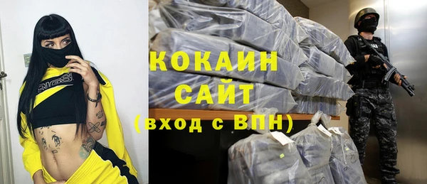шишки Медвежьегорск