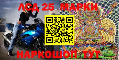эйфоретик Аргун