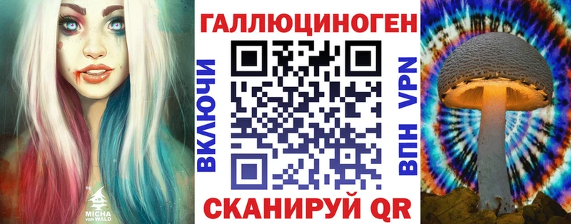 Галлюциногенные грибы Psilocybe  Владикавказ 