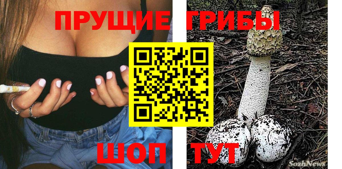 Псилоцибиновые грибы Psilocybine cubensis Владикавказ