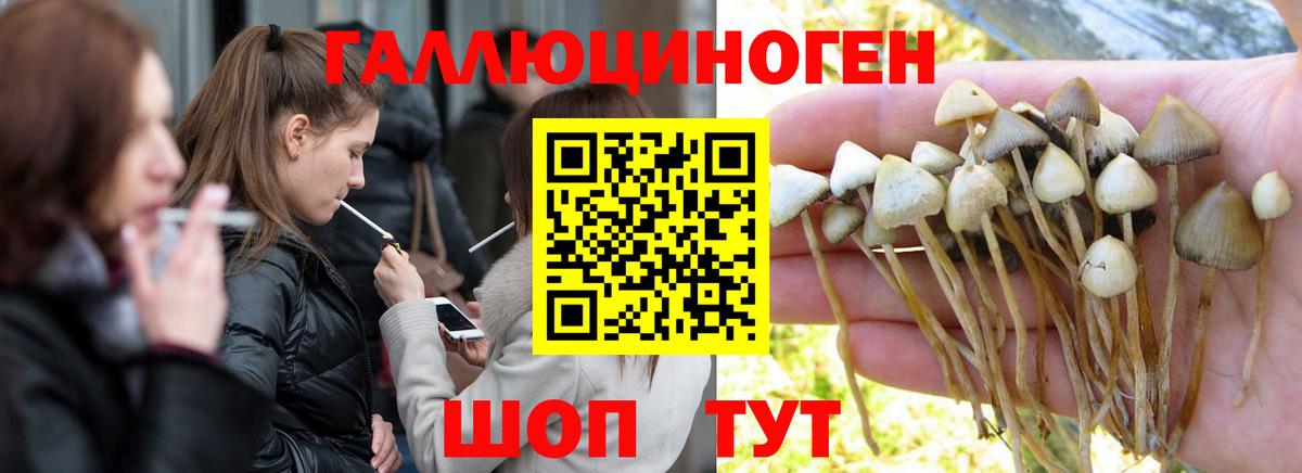 Кокаин  Конопля  МЕФ кристаллы  МЕФ  ЭКСТАЗИ  Гашиш  Владикавказ  Вход с VPN 