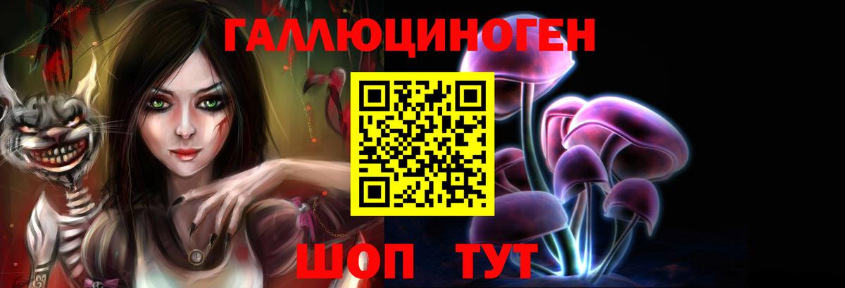 Владикавказ  Галлюциногенные грибы GOLDEN TEACHER  Вход с VPN 