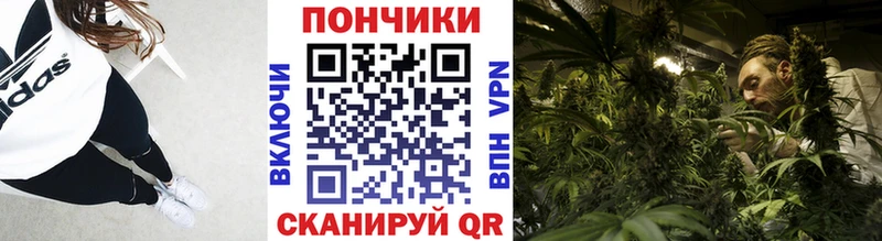 Конопля индика  Владикавказ 